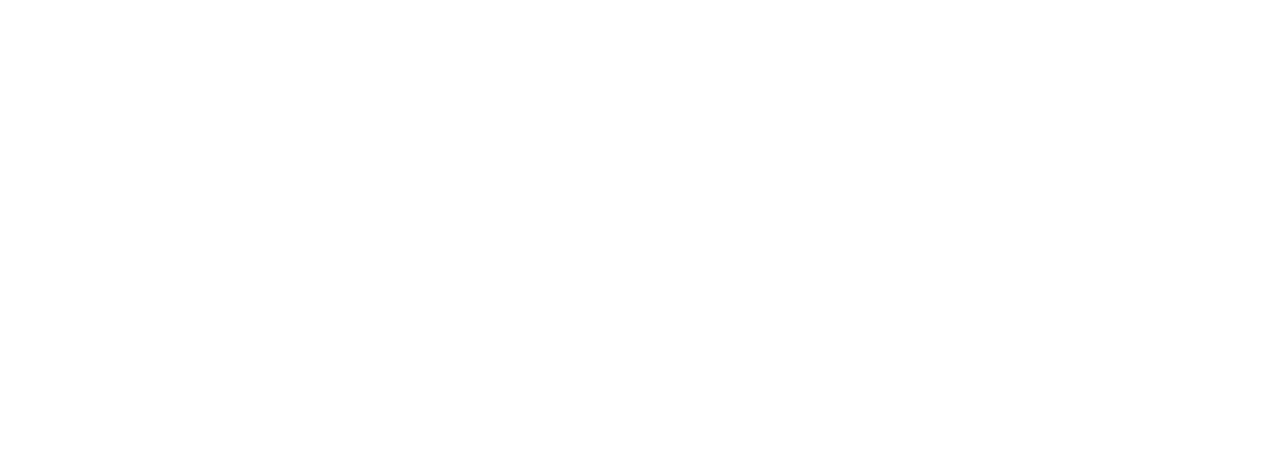MeshPro logo